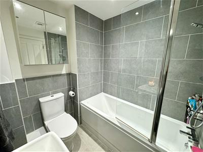 Picture 15